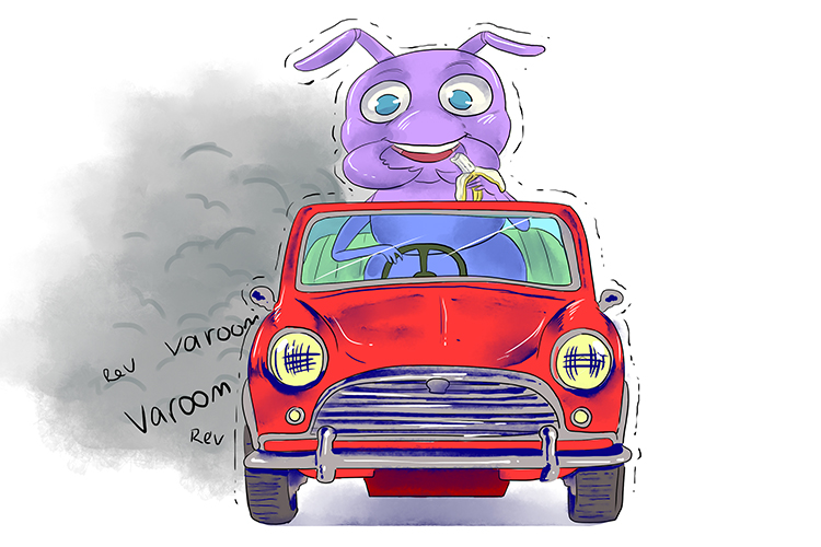 I'm mad at the gas the car (Madagascar) gives off – the driver is an ant that just sits there eating a banana and revving the engine (Antananarivo).